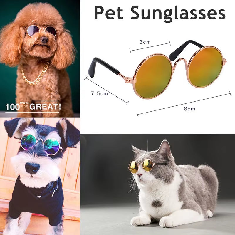 Cute Pet Glasses - Small Cat & Dog Sunglasses for Photos & Accessories