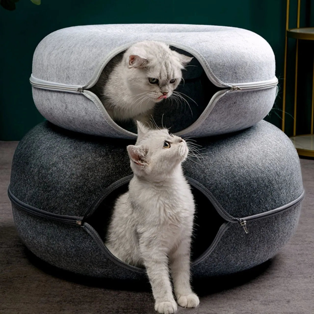 Donut Cat Bed & Interactive Tunnel - Pet Felt House for Cats & Kittens