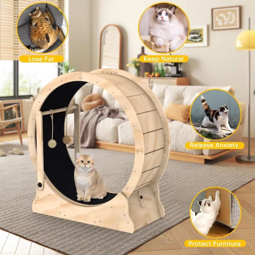 Cat Running Wheel Treadmill with Carpeted Runway & Teaser Toy - Pet Accessories for Home