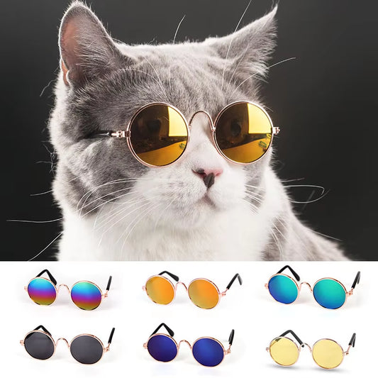 Cute Pet Glasses - Small Cat & Dog Sunglasses for Photos & Accessories