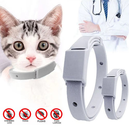 Anti-Flea & Tick Collar - 8-Month Protection for Cats & Small Dogs